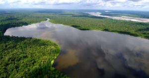 Plano sustentável na Amazônia impulsiona desenvolvimento verde e preserva floresta