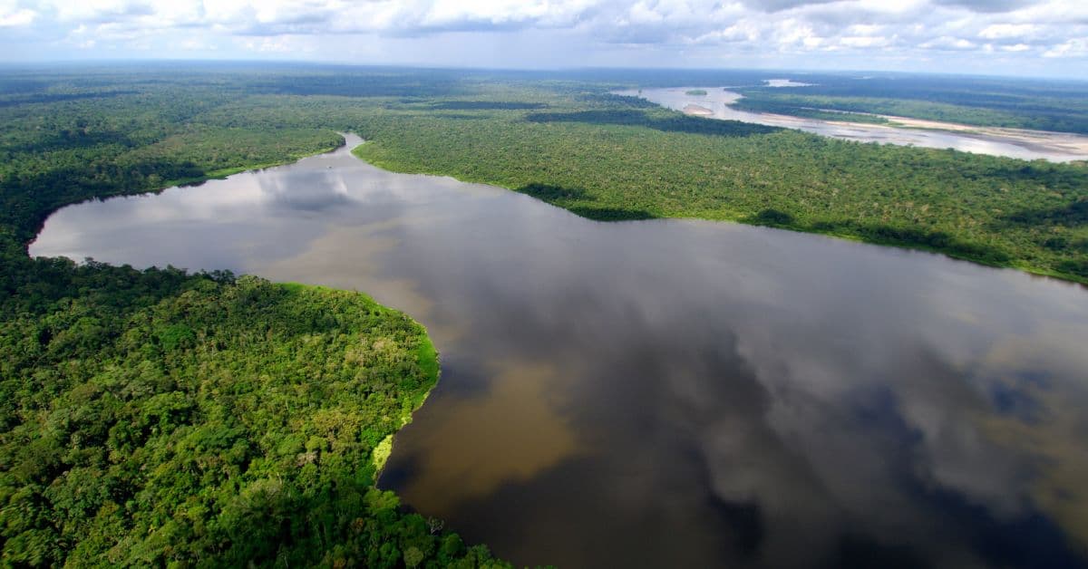 Plano sustentável na Amazônia impulsiona desenvolvimento verde e preserva floresta