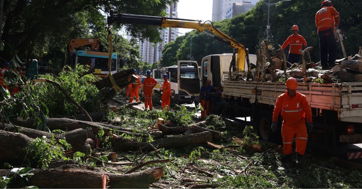 Prefeitur remove arvores caídas por vendaval que também provocou apagão em São Paulo