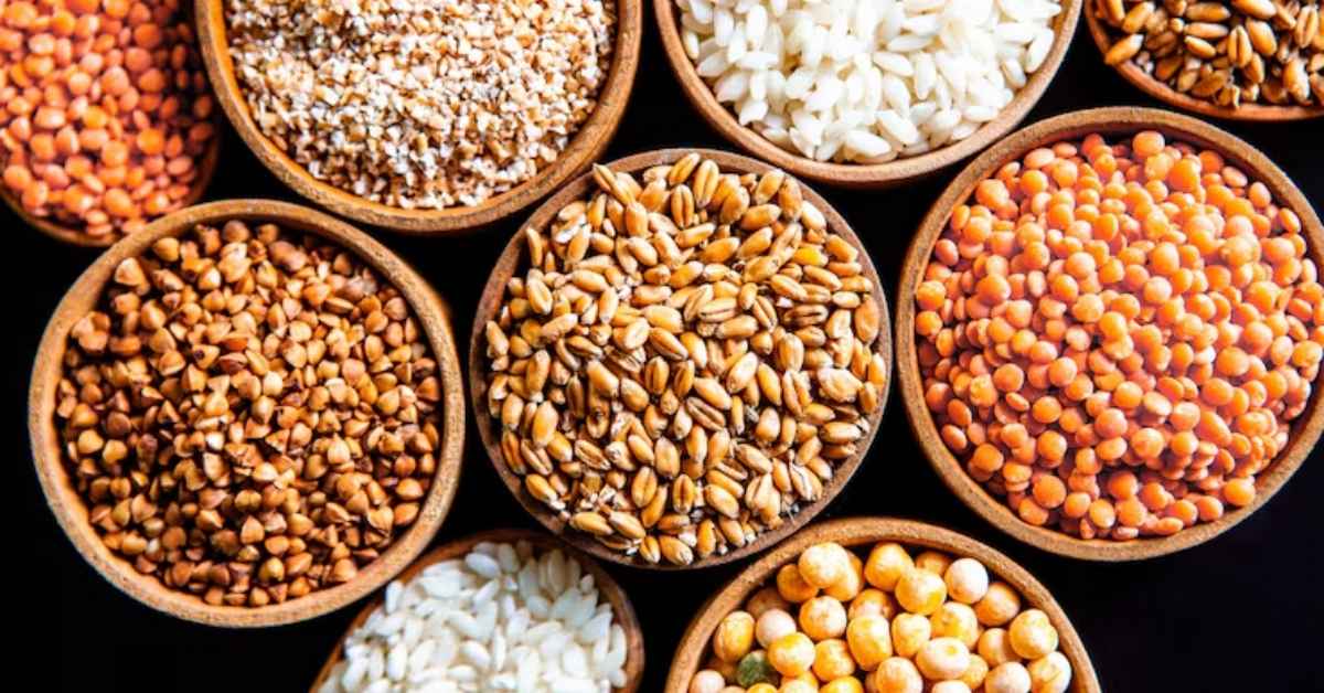 Grãos agrícolas usados na safra brasileira de grãos em 2025/26