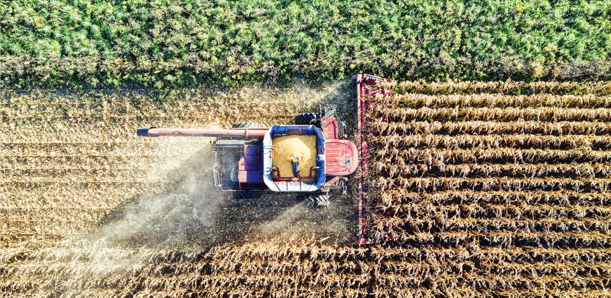 Ações do agronegócio em análise pelo Itaú BBA