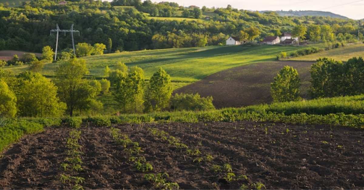 BNDES libera crédito rural para produtores no Plano Safra 2025/26