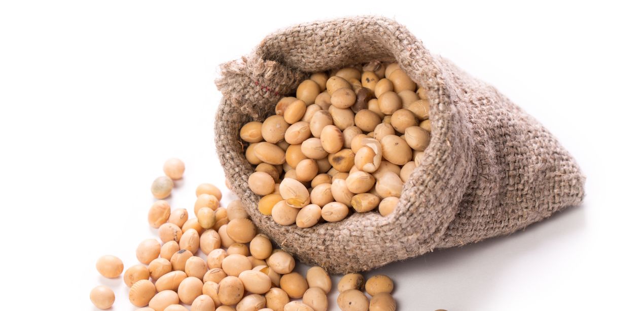 Exportação de soja do Brasil com grãos