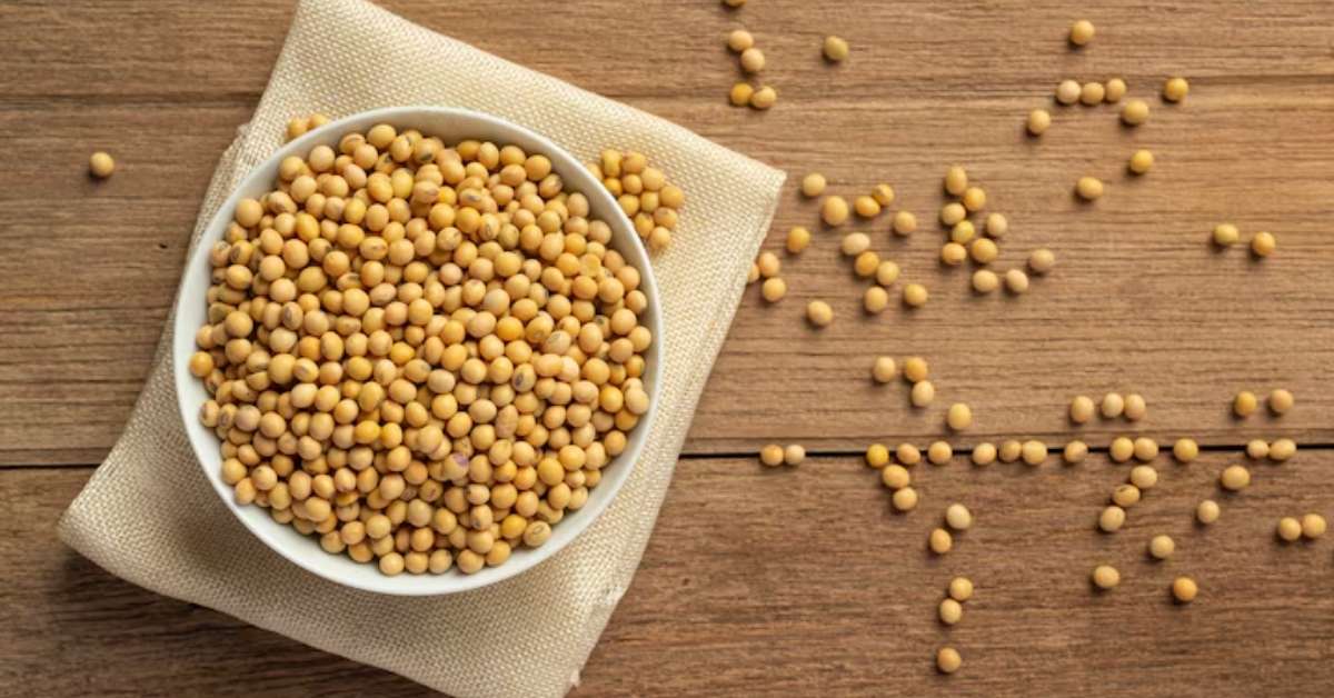 Exportação de soja no Brasil com grãos de soja em destaque sobre mesa de madeira