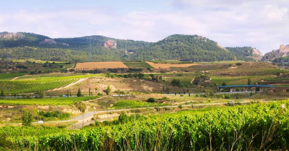 investimentos em terras raras no Brasil atraem interesse dos Estados Unidos