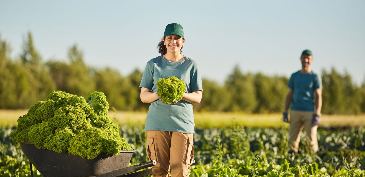 Preços ao produtor medidos pelo IBGE na indústria brasileira