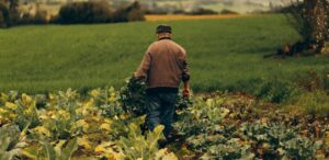 Subsídio agrícola nos EUA com apoio do USDA a produtores