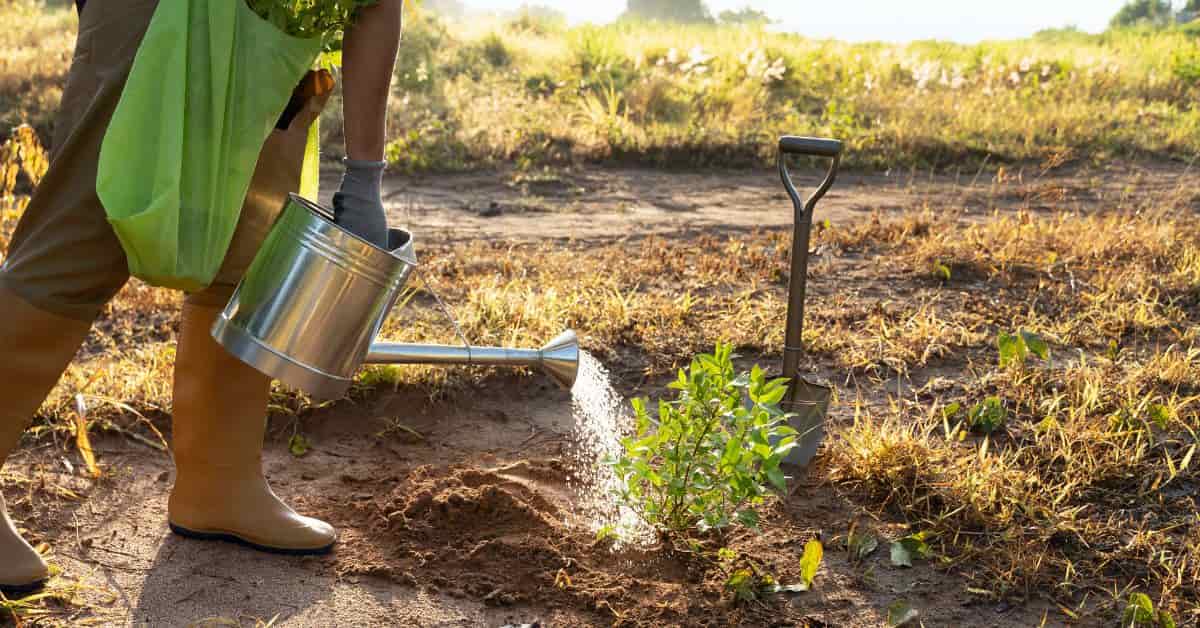 consumo de água no agronegócio brasileiro