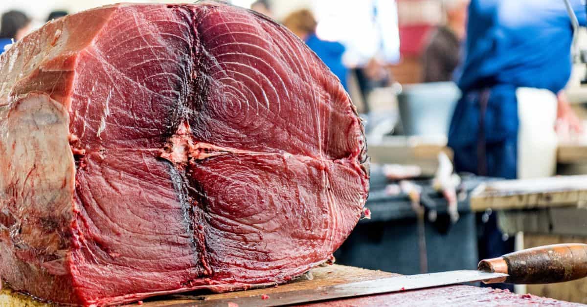 exportação de carne bovina em janeiro em frigorífico brasileiro