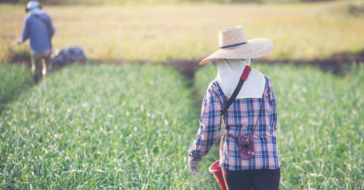 Imagem de produtores de alimentos simbolizando o Índice de Preços ao Produtor acumulado em 2025