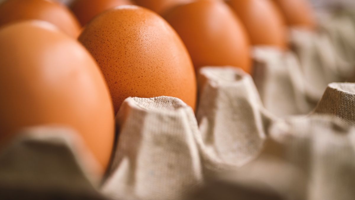 Imagem de uma bandeja de ovos para ilustrar uma matéria jornalística sobre o Preço do ovo.