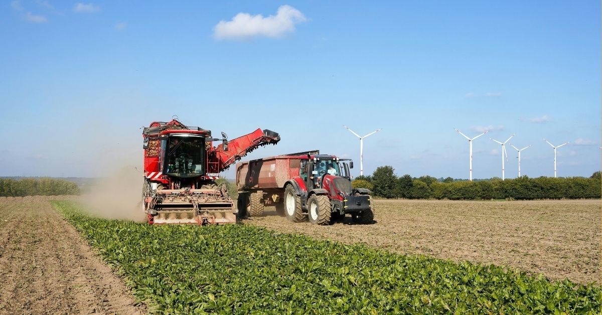 Bioenergia no Brasil com produção agrícola e usina de etanol