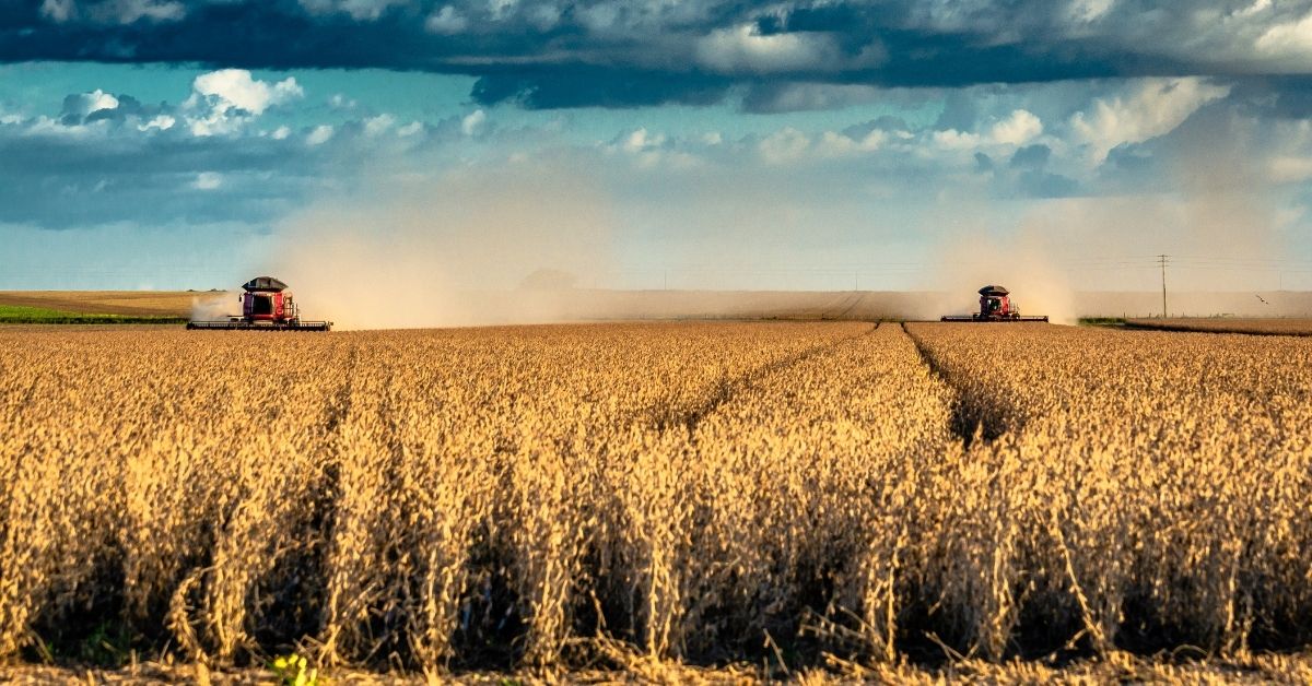 Colheita de soja no Brasil em lavoura agrícola