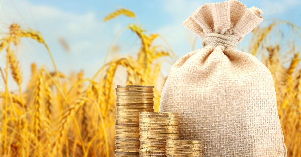 Crédito rural financiamento agro Brasil Plano Safra