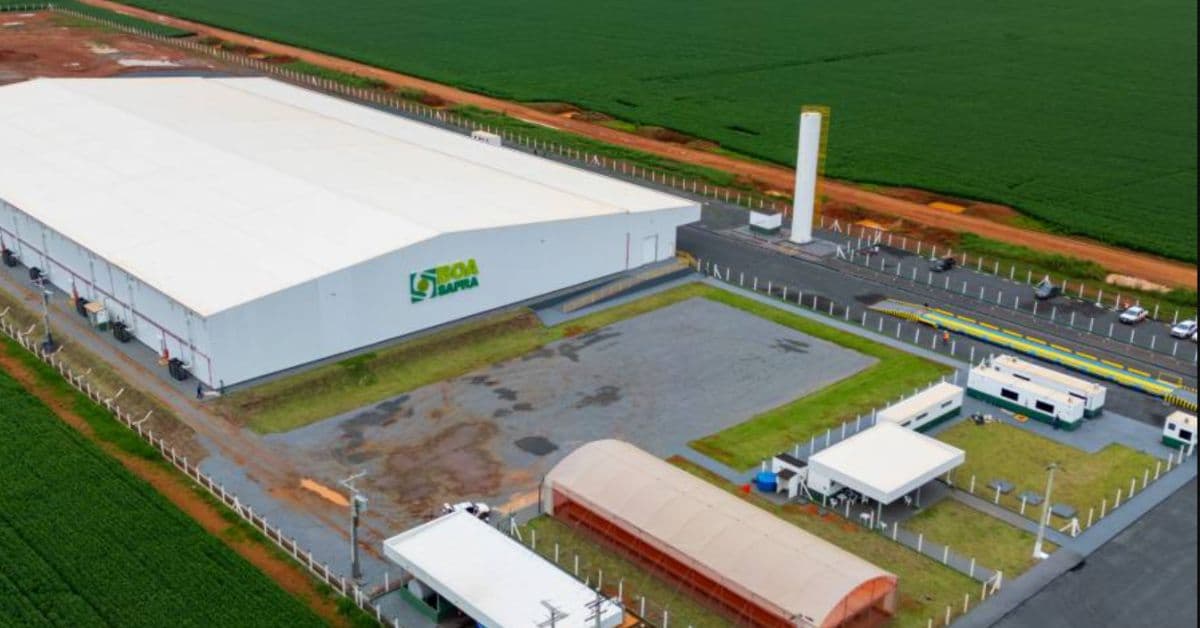 resultados da Boa Safra em 2025 no quarto trimestre