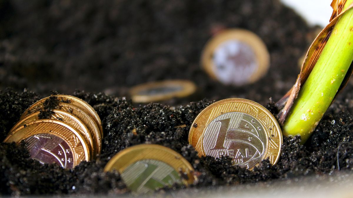 Imagem de dinheiro (moeda) sendo plantados para ilustrar uma matéria jornalística sobre a educação financeira.