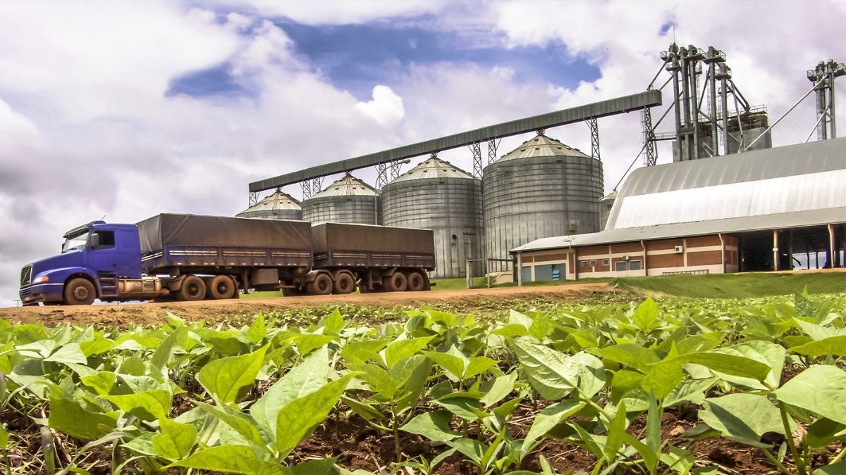 Imagem da Aliança Agrícola do Cerrado para ilustrar uma matéria jornalística sobre a recuperação judicial da Aliança Agrícola.