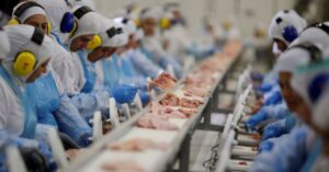 Como o Brasil amplia comércio na Ásia com exportação de miúdos bovinos
