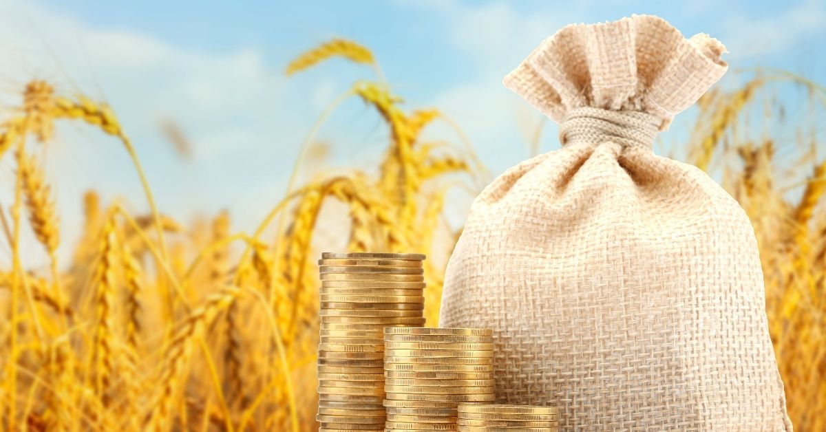 Crise no agronegócio brasileiro e recuperação judicial no campo