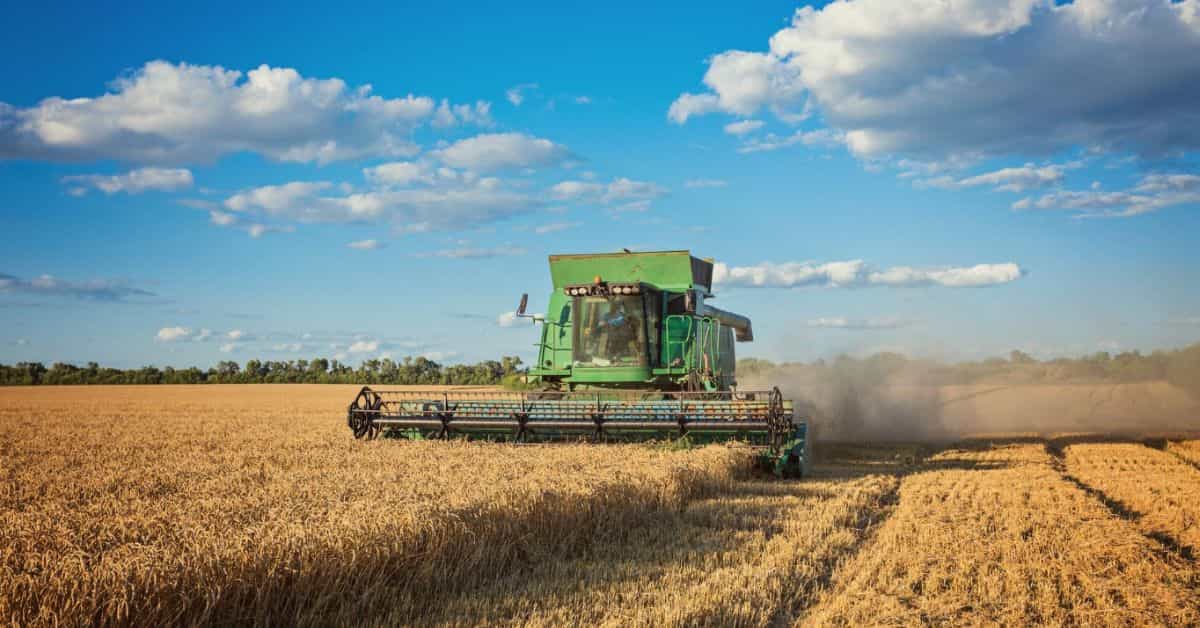 Colheitadeira em operação em plantação de grãos, simbolizando o desempenho do agronegócio no Brasil