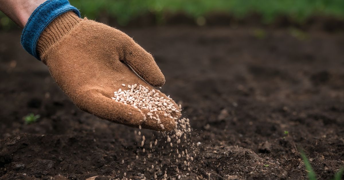 Preço dos fertilizantes sobe com guerra no Oriente Médio