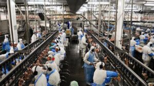 China libera frigoríficos dos EUA, mas Brasil ainda domina carne bovina