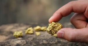Extração ilegal de ouro na Amazônia movimenta US$ 3,88 bi e coloca exportações sob pressão