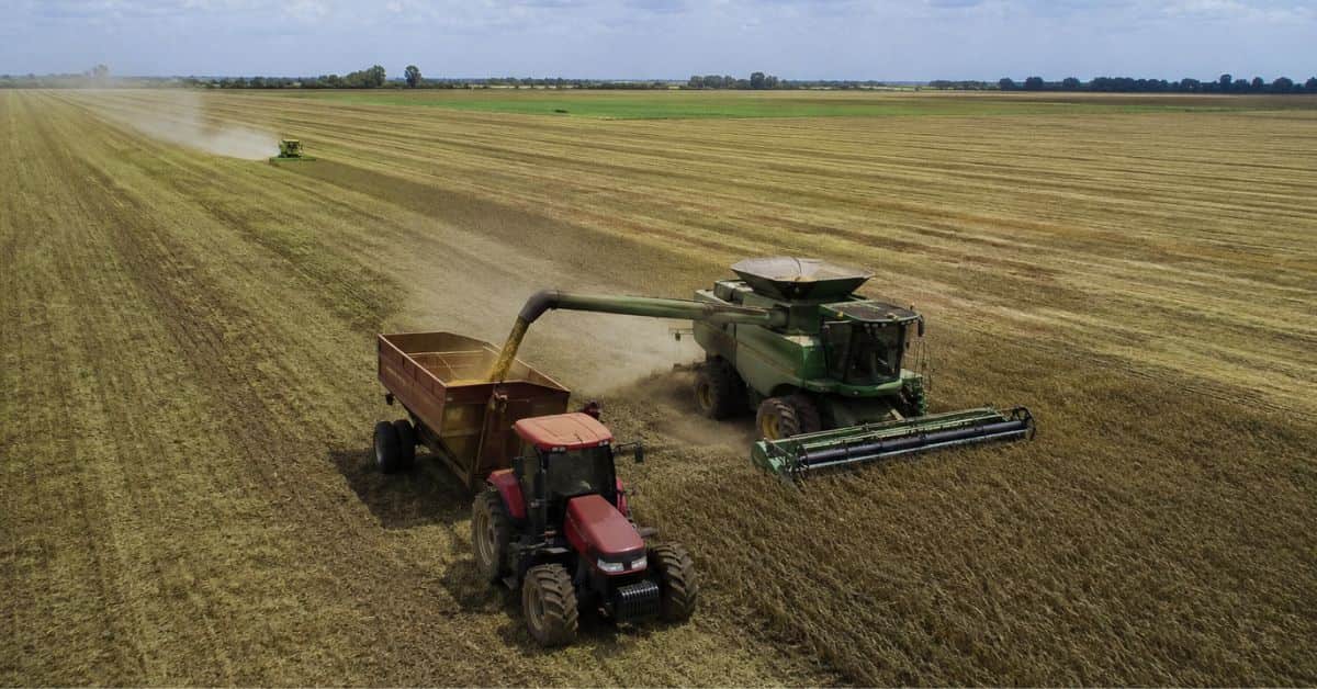 Renegociação de dívidas rurais pode liberar até R$ 200 bilhões em crédito para produtores do agronegócio