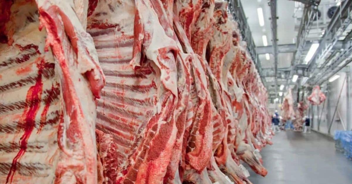 Carcaças de carne bovina em frigorífico após suspensão das exportações brasileiras pela União Europeia