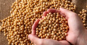 Produção de grãos no Brasil deve ser a maior da história em 2026, mas avanço fica concentrado na soja