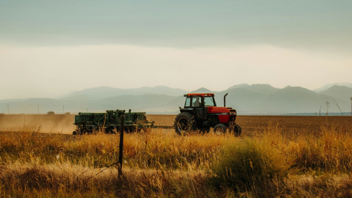 Imagem de um trato no campo para ilustrar uma matéria sobre agronegócio e sobre a renegociação de dívidas rurais