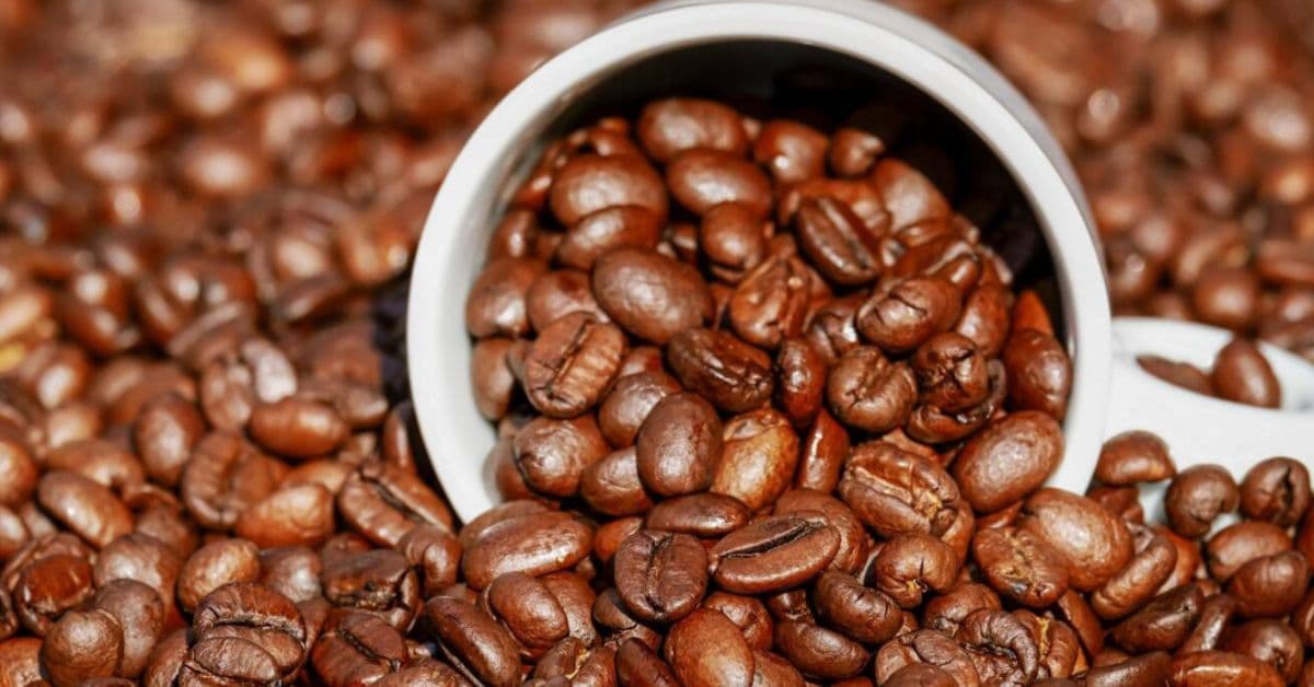 Grãos de café torrado espalhados ao redor de um recipiente, representando a oferta global da commodity em meio à safra recorde brasileira.
