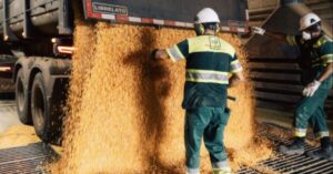 Venda da CLI leva operador de Abu Dhabi aos portos do agro brasileiro