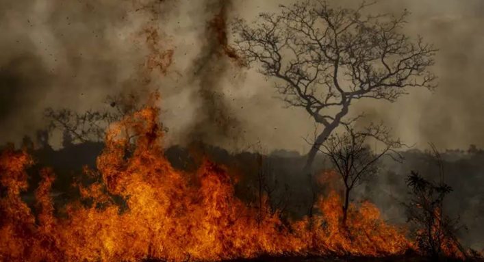 BNDES libera recursos do Fundo Amazônia para combate às queimadas nos estados da região norte do país