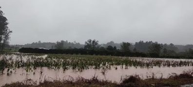 Enchentes no Rio Grande do Sul