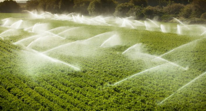 Projeto de lei propõe irrigação em áreas de preservação ambiental. (Foto: Divulgação)