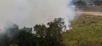 São Paulo - Produtores - Incêndio - Queimadas