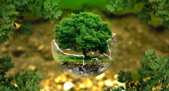 Sustentabilidade - Meio Ambiente - ESG - Fórum Econômico Mundial (1) - práticas ambientais