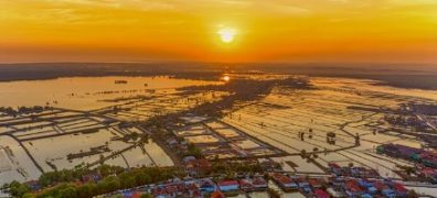 piscicultura-amazonia-investimentos-tomfisk